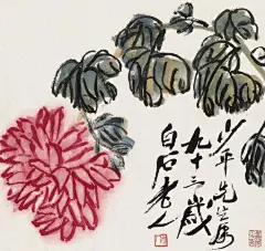齐白石画菊～～