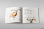 PROMETEY银行年度报告濒危动物主题宣传画册设计 [35P] (22).jpg
