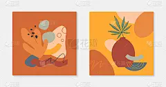 一套艺术现代矢量插图花瓶，叶子，有机形状和元素