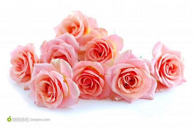 tooopen_23141365