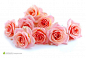 tooopen_23141365