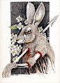 Rabbit heart