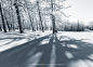 01c3145c49c860a801213f26d122ff.jpg@1280w_1l_2o_100sh