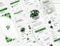 绿色极简主义鲜花绿植移动商店小程序APP设计UI界面素材 Plant Shop App UI Kit