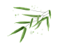 中国风卡通手绘绿色竹子水墨竹叶竹节