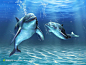 大海里戏水的海豚高清摄影桌面壁纸图片素材