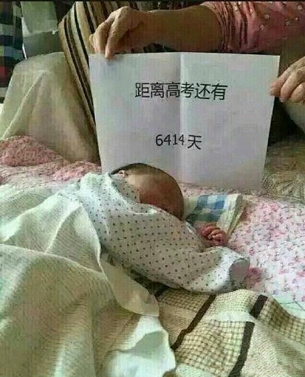 不能输在起跑线上，处长出品。