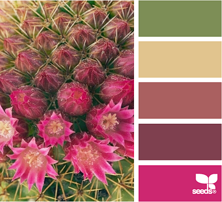 cactus color