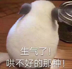 Dora-me采集到表情包