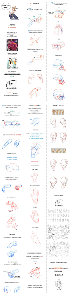 速冻饺子儿采集到人體畫法