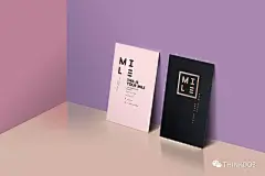 配色精美的时尚名片设计你怎能错过~~~18 - 排版欣赏 - 吾淘网---学。练。赏。更优质的设计师参考平台