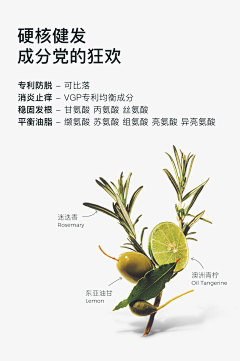 lxxjsdmn采集到版式