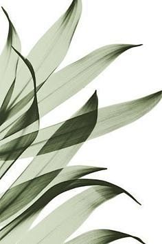 Pinterest
- - - - -...