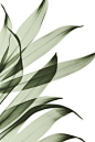 Pinterest
- - - - - - - - - - - - - -
 ——→ 【 率叶插件，让您的花瓣网更好用！】> https://lvyex.com