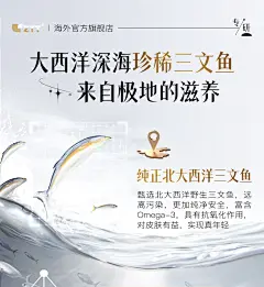 美国专研进口专利白番茄内服焕白饮葡萄籽去黄内调抗糖全身白-tmall.com天猫