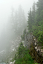 90377:
“ Mystic scene, trail above Cougar Lakes by Kim Brown
”