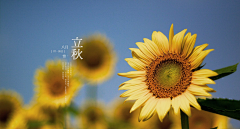 韩昱采集到UI教程