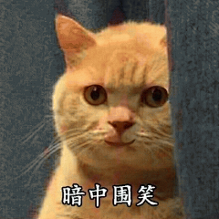 橘猫表情包 [我妈不让我跟傻子玩]