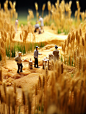 xahynmiamar1_Shows_miniature_scenes_of_people_and_wheat_in_igor_39d03292-9512-4e6e-9844-3004fba3bfa1