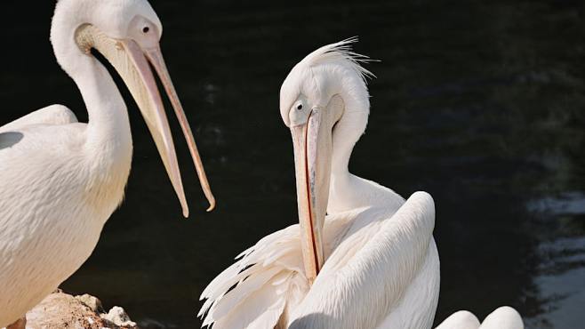 Nature | Unsplash : ...