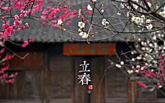 24节气壁纸、24节气、唯美、桌面壁纸、摄影、壁纸、安卓手机壁纸