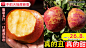 搜索页-丹东奶油草莓-658867214884-1202