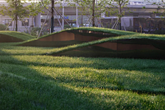 ΘΓ采集到景观