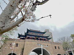 Cirar-Shum采集到景点拍