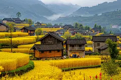 乡村田园自然风景壁纸