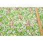 日本进口纯棉牛津面料狗尾巴花和猫三叶草幸运草和兔子拼布艺布料