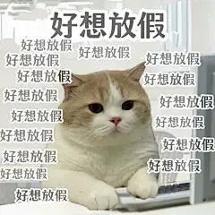 《 一组打工人精神状态表情包!! 》 - 小红书