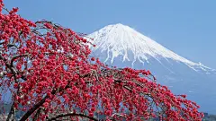 富士山_日本风光_日式风景_风光美景_日本景色_亚洲风光_2013年4月壁纸精选_2013年第二季度壁纸精选_富士山风光_桌面壁纸_爱壁纸HD