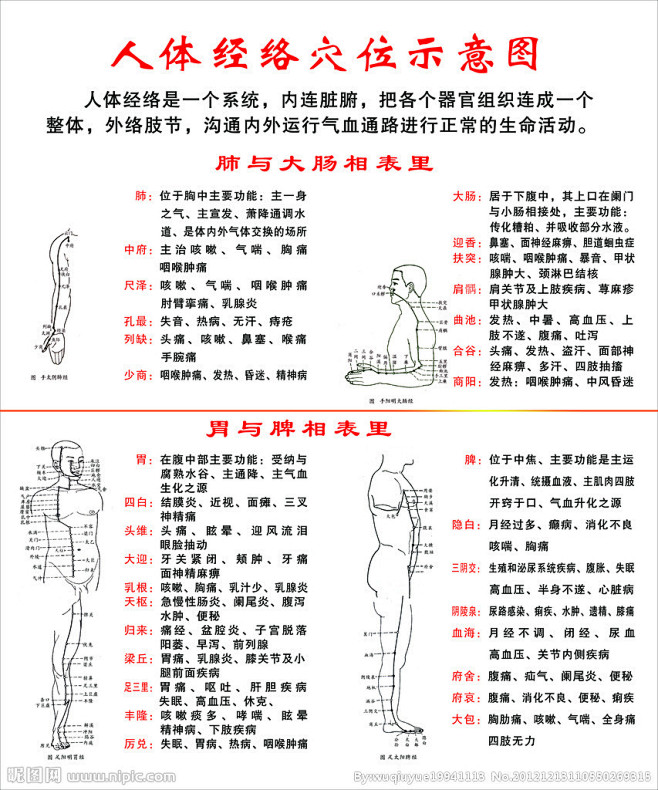 人体经络穴位示意图源文件