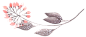 0_12cefa_354da932_XL  千人QQ群：2314619 @小文~~