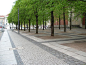 Berlin pavement #streetscape #germany #stone #pedestrian #green #place_making: 