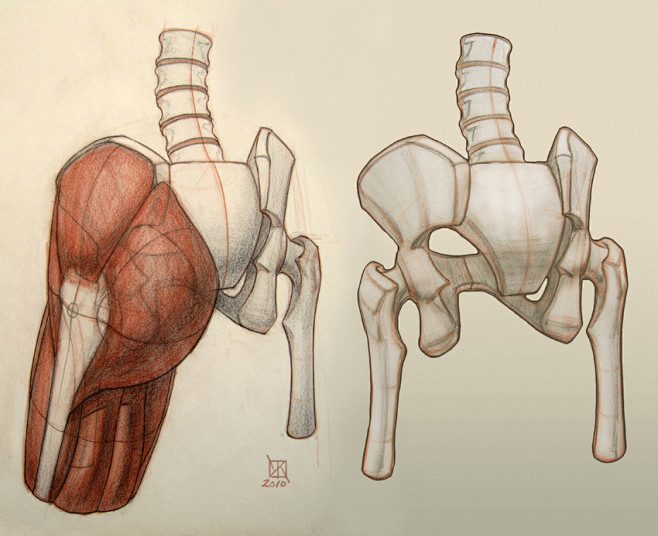 Anatomy Demos