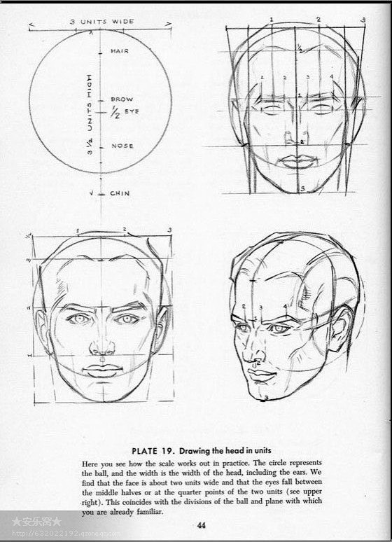 安德鲁卢米斯的素描教程 - 绘制头部和双...