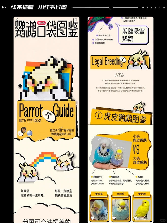 灵感分享 ｜ 线条插画 小红书长图设计-花瓣网