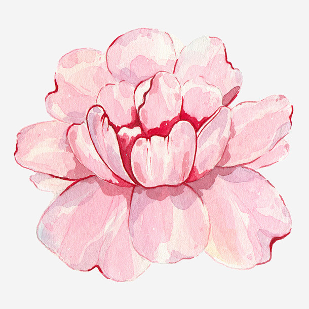 盛开的粉色花朵图 页面网页 平面电商 创...