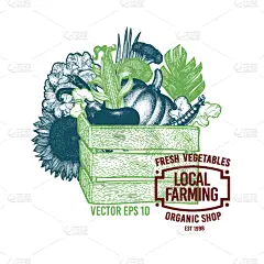 板条箱,充满的,有机食品,动物手,农业,蔬菜,菜单,韭,清新,环境