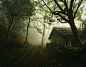 Ruins 16 / abandoned / Forestry relics and settlements
