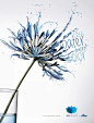 上海广告设计公司分享-----Cedro Têxtil 纺织品环保印染染色广告“花朵”篇 2