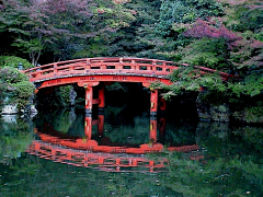 Xiar采集到日式庭院