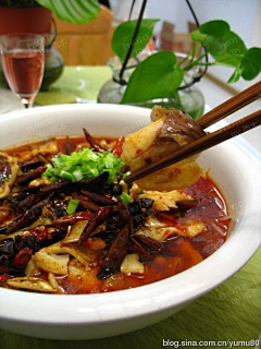 木水云采集到生活-美食