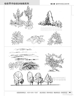 CheeTsai采集到植物 园林 线稿