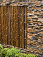 Bamboo Fence Home Design Ideas, Pictures, Remodel and Decor
