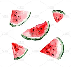 水彩插图。片西瓜。文本的空闲空间。新鲜水果。健康的饮食习惯