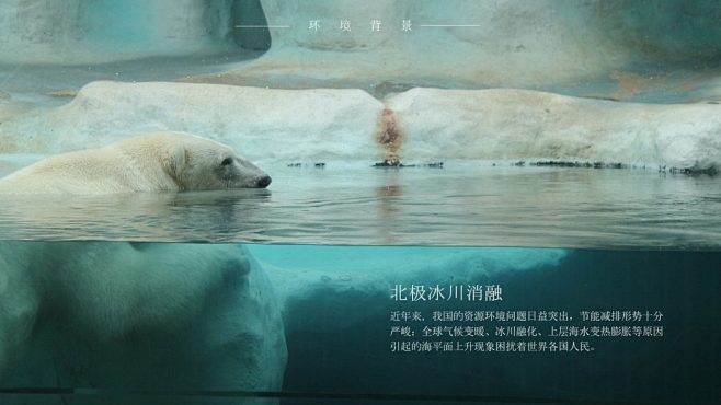 北极熊-绿色出行app | 设计日报