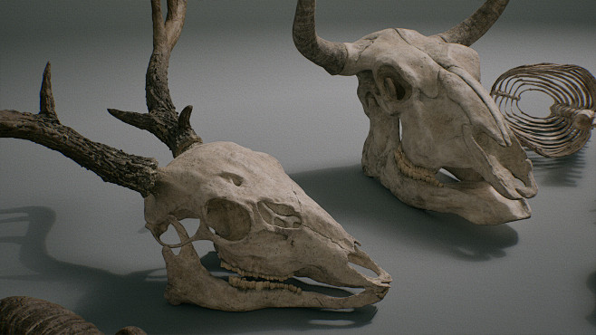 Bones (UE5)