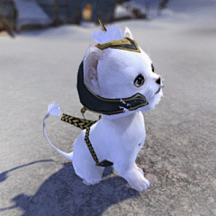 远方的秘密采集到gif